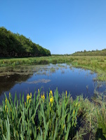 Ik in relatie tot de ander